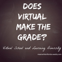 Virtual Schools and Learning Diversity