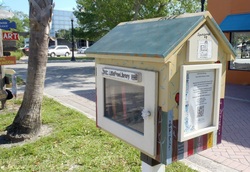 Meanwhileinflorida.com Little Library Dunedin, FL